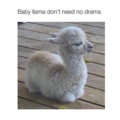 \(^~^)/ \(^~^)/