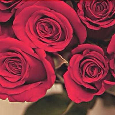 hmsalsoha's profile picture. **سبحان الله و الحمدلله و الله اكبر**