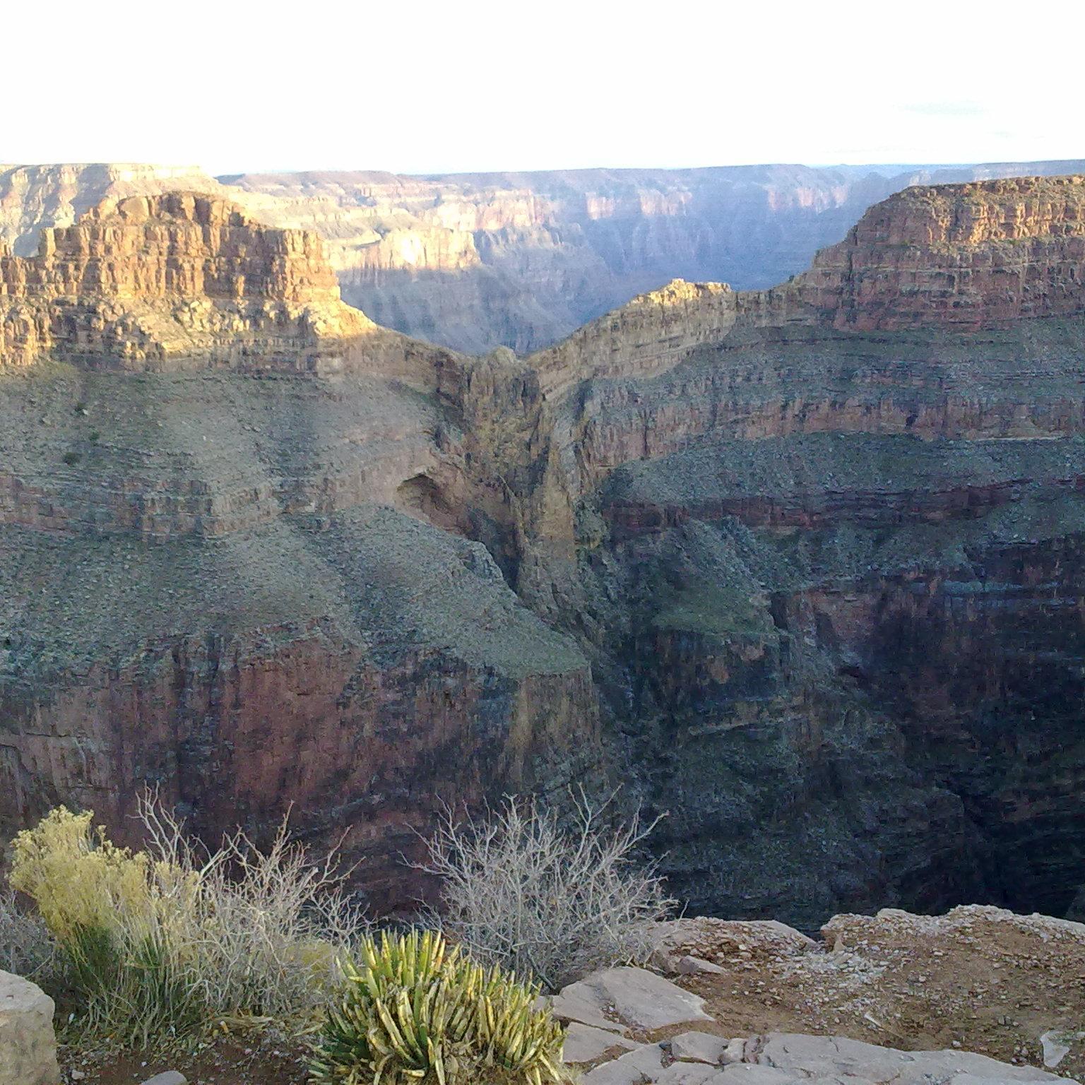 Excel_Macros's profile picture. 