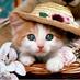🐱 (@lacatona) Twitter profile photo