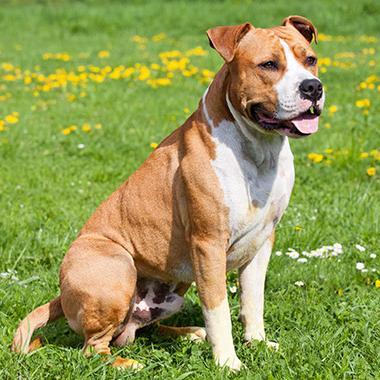 monroe_keyana's profile picture. 