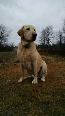 spud2270's profile picture. 