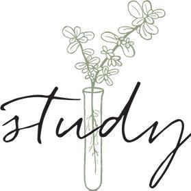 617.374.0701 -- Located in the heart of Kendall Square, Study is smart and quirky like the neighborhood it is part of