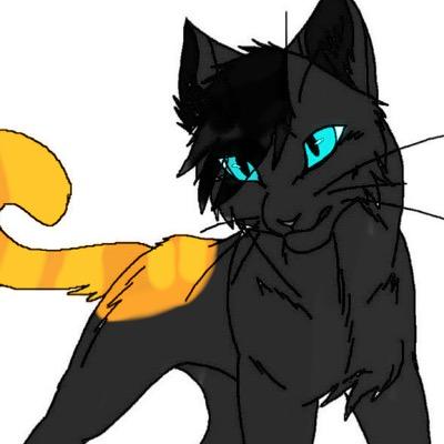 black shecat with orange hind quarters and tail. Left ShadowClan at 3 moons. FrostFall has watched over me as a kit. 24 moons, no mate but crushing.