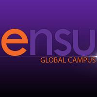 eNSU (@ensu_info) 's Twitter Profile Photo