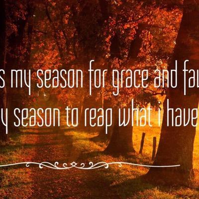 mobilegiveaways's profile picture. 