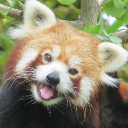 macnianios's profile picture. Και να παίζει με τ’άσπρο και το κυανό η ψυχή μου !