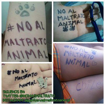 Aquí te enteraras de cualquier actividad que se realice a favor de los animales, también ayúdanos a generar conciencia utilizando el tag #NOalmaltratoanimal