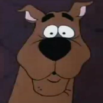 InstaswapNiggas's profile picture. im gay