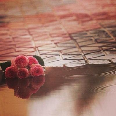 hanan24140 Profile Picture