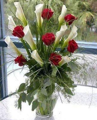 ‏‏سلطان جدة موجب جاد 0566563051