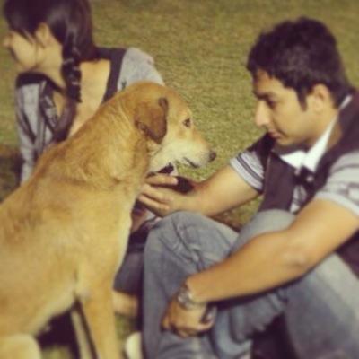 MolotovPunk's profile picture. All my opinions are free-range, grass-fed, zero-antibiotic, with no high-fructose corn syrup.