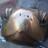 paulaw_dcc's profile image