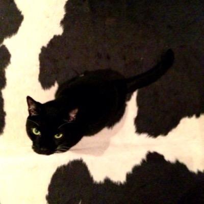 EvieGimbel's profile picture. 