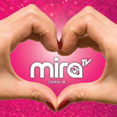 aterrizaje agencia Mejorar canal mira tv en vivo aplausos hormigón Leopardo