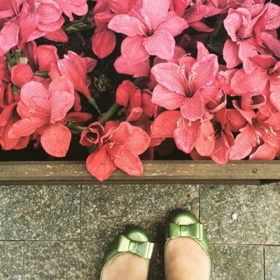 GabriellaAlves's profile picture. Artista, fotógrafa, arteterapeuta, e tenho um livro e um blog o baú das borboletas