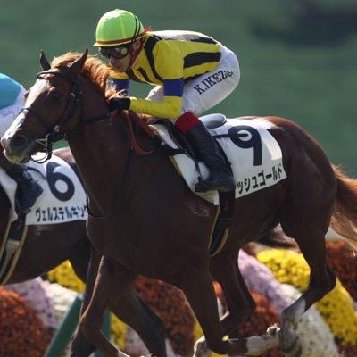 キズナとオルフェと豊さんと福永と川田と池添が大好きです…✨ 競馬好きな人はじゃんじゃん絡んでください！ 中山/東京