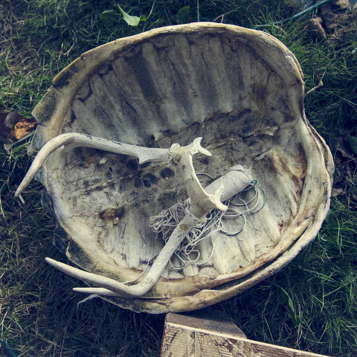 Wobbly_Yulia's profile picture. 