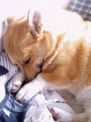 actafool3's profile picture. １人でのんびり？クルマ屋してます 本業だけじゃ食べれないから副業もしてますが 副業はナイショです