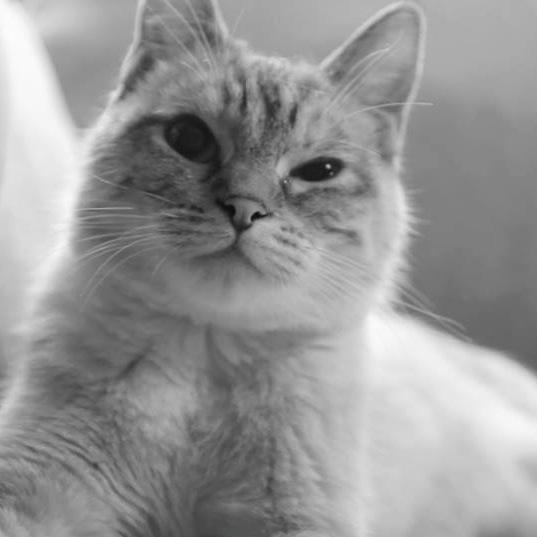 meredythyund's profile picture. Actress, Artist, Budding Producer