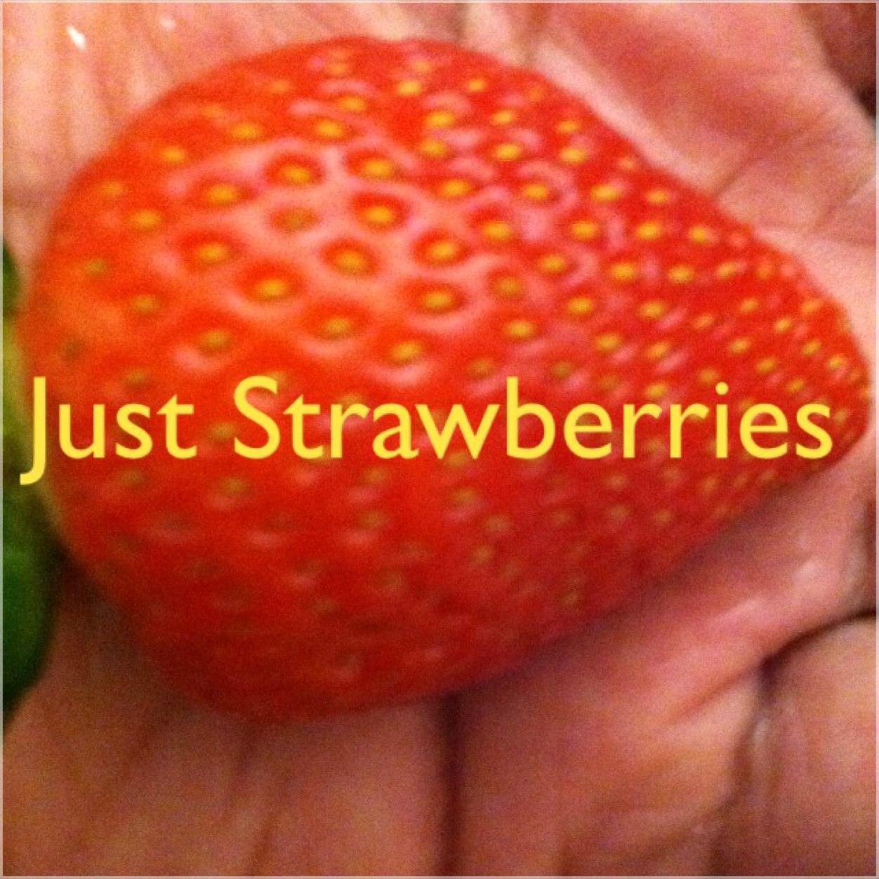 jusstrawberries's profile picture. Just Strawberries & Chocolate
