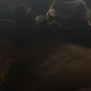 Donna Stanford - @donnastanford82 - Twitter