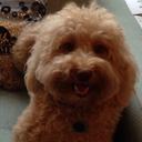 Thomas Leppert - @tleppert88 - Twitter