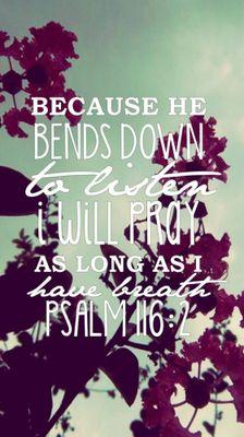 carmenjaime1267's profile picture. 