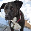 Laura Slocum - @PLslocum - Twitter