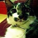 miya07072's profile picture. 