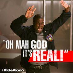 bermea00's profile picture. Basketball is my life!