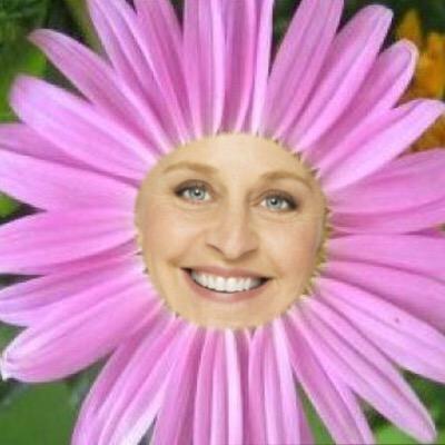 Ellen fan page! follow if you love ellen and wanna laugh!