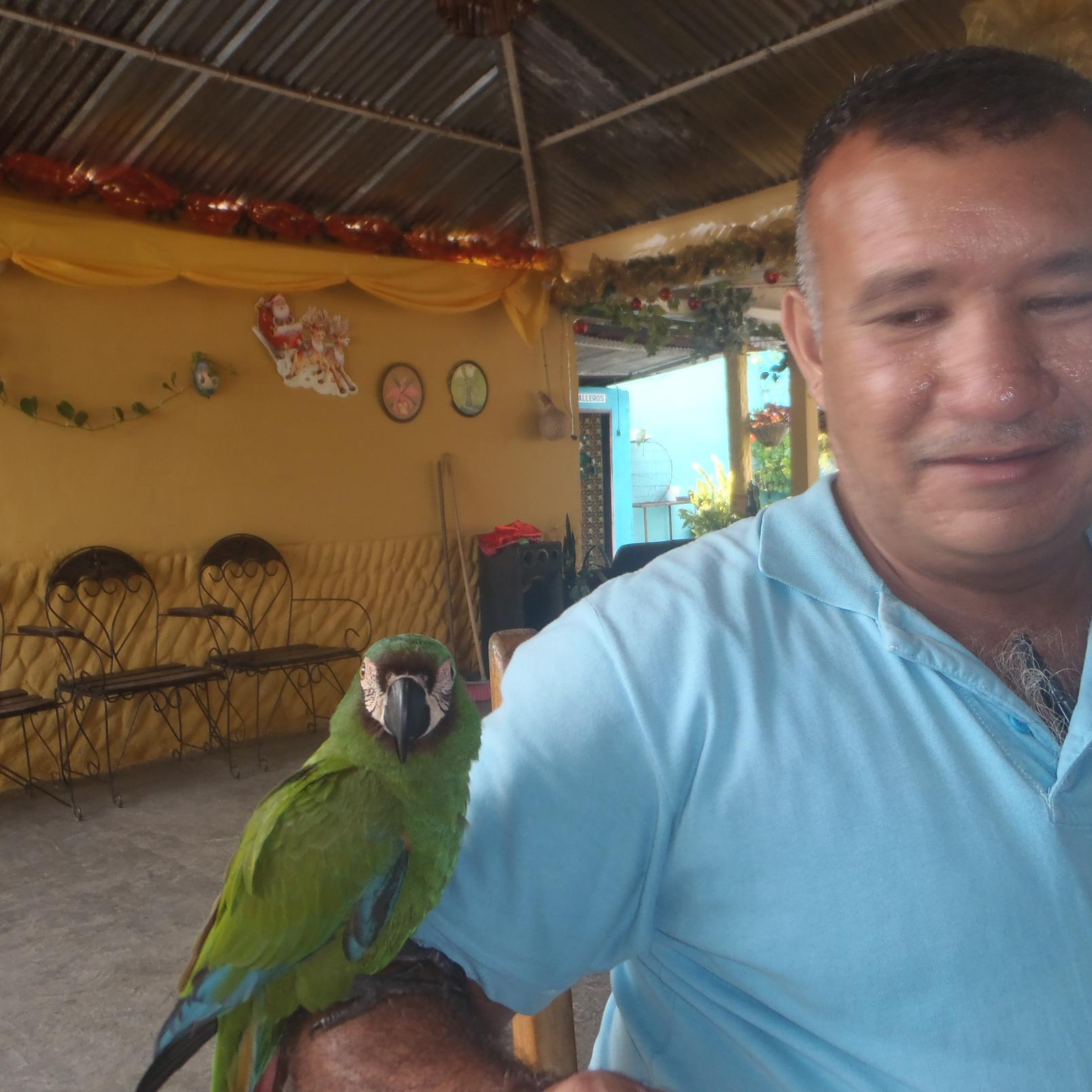 COLMERafa's profile picture. 