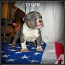 Robert McGee - @robertmcgee0420 - Twitter