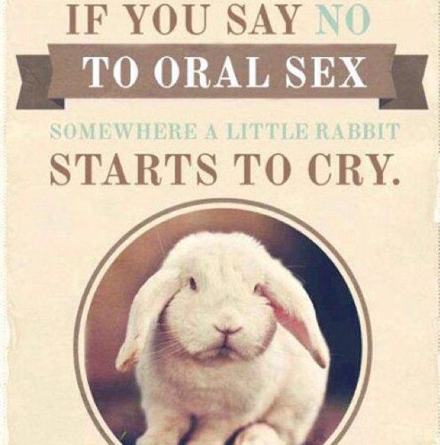 zoltar6101's profile picture. 