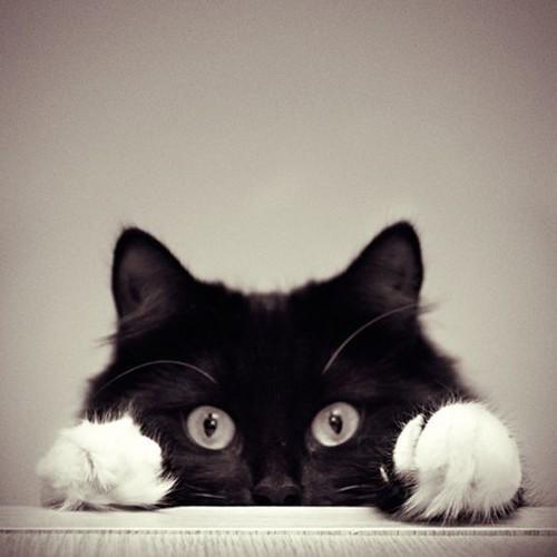 Scary as hell! XDD