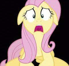 fluttershymlpbr's profile picture. fluttershy amo muitoooo vc ;3