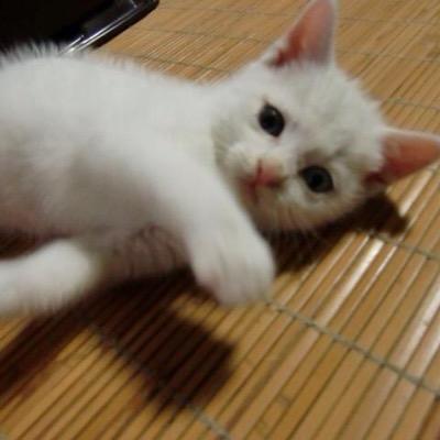 美月　麻希さんのプロフィール画像