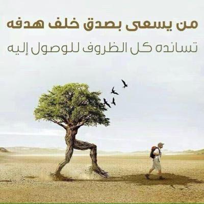 mam2354's profile picture. 