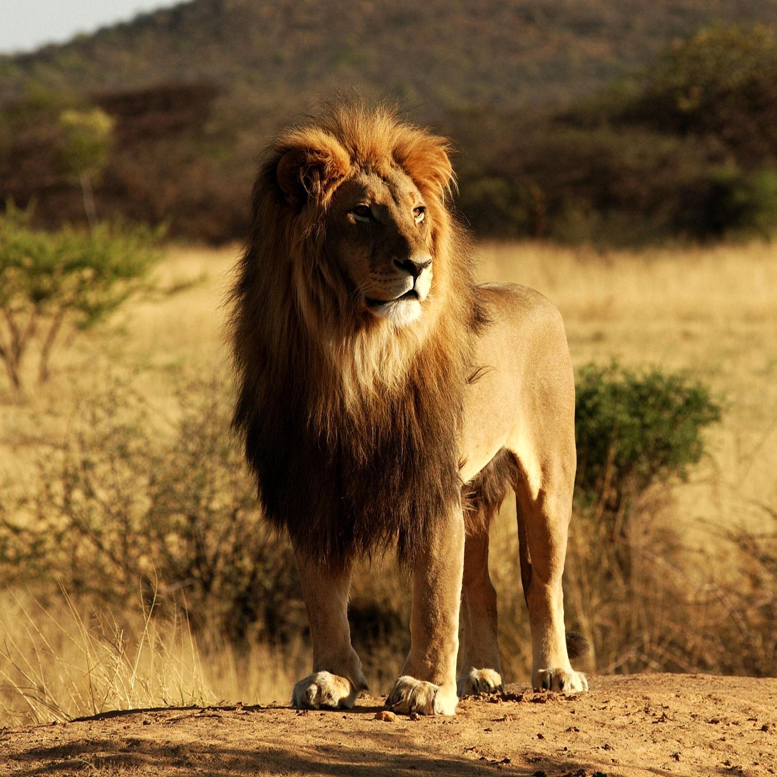 P9010151218's profile picture. 