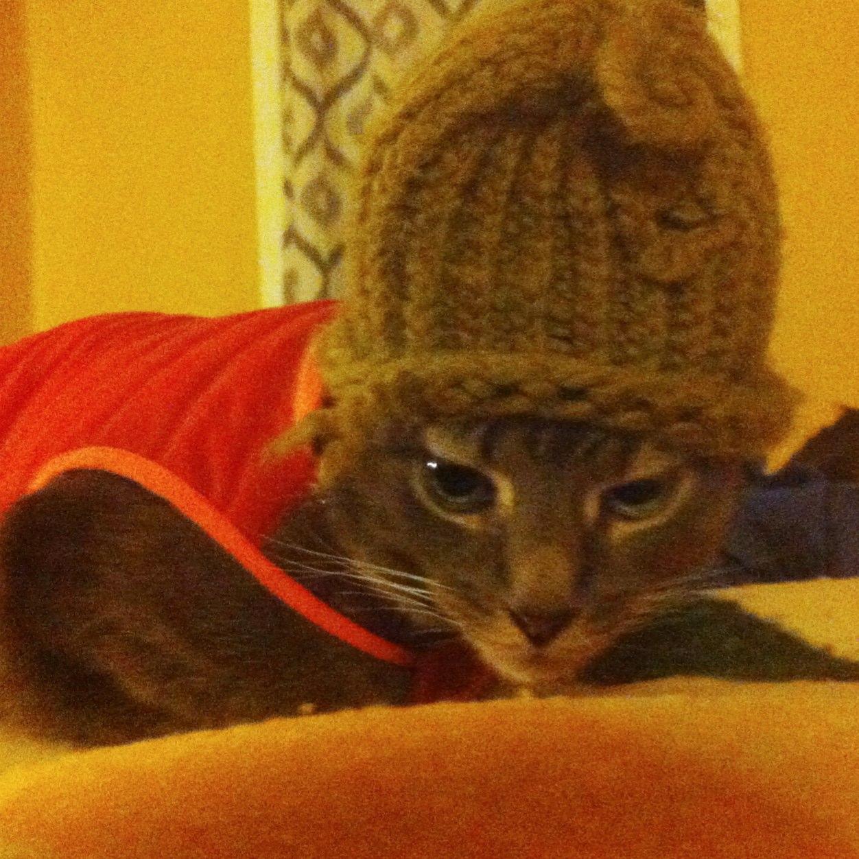 LilExtraPizza's profile picture. 