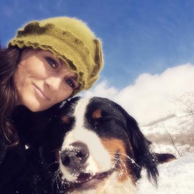 bernerlover2's profile picture. 