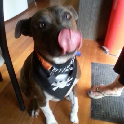 gdickolfc's profile picture. 