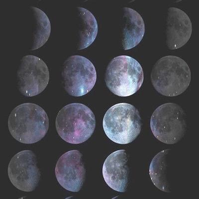moonlightwvae's profile picture. 