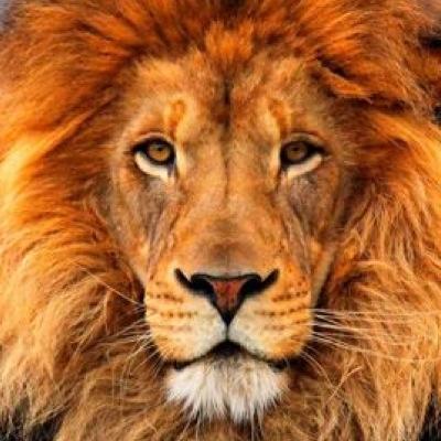 Prodigal's profile picture. Time Is Money