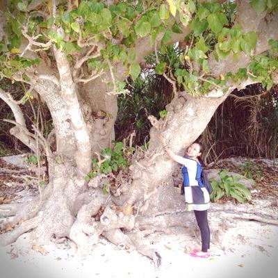 転勤族/二児の母/👦👧 無言いいね、フォロー失礼します🙏