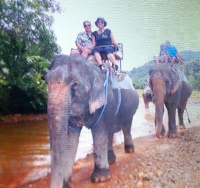 nitenjoost's profile picture. 