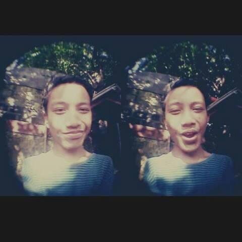 wgffams