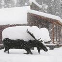 Heather Nesler - @31monkeytoes - Twitter