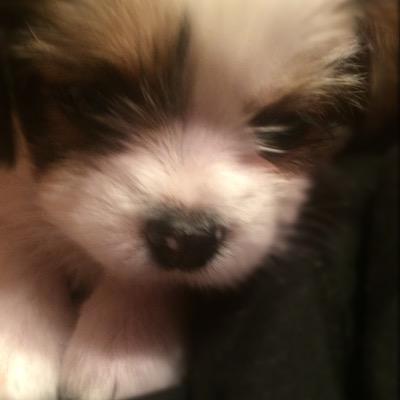 AsapDes's profile picture. 